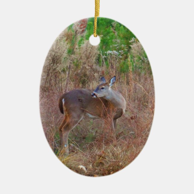 Ornement Ovale En Céramique Un cerf dans l'herbe haute (Devant)