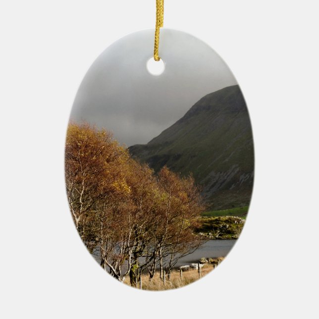 ORNEMENT OVALE EN CÉRAMIQUE VUES DES ALLES (Devant)