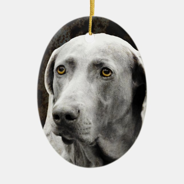 Ornement Ovale En Céramique Yeux émouvants du Weimaraner (Devant)