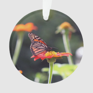 Ornement papillon
