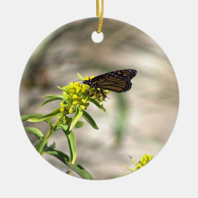 Ornement Papillon avec Fleurs Sauvages Jaunes (Devant)