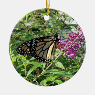 Ornement papillon monarque