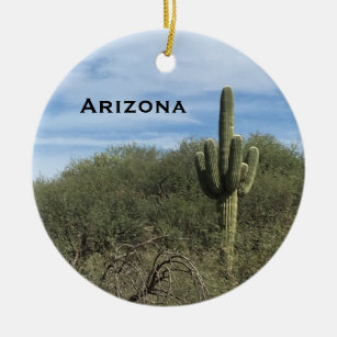 Ornement paysager de l'Arizona Saguaro Cactus