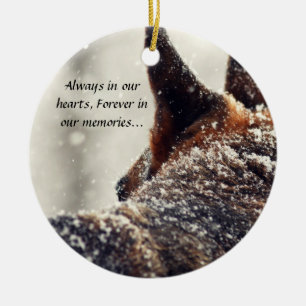 Ornement perdu d'animal familier