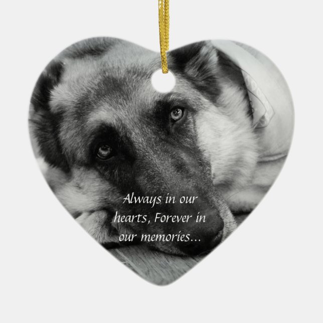 Ornement perdu d'animal familier (Devant)