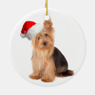 Ornement père Noël Yorkie