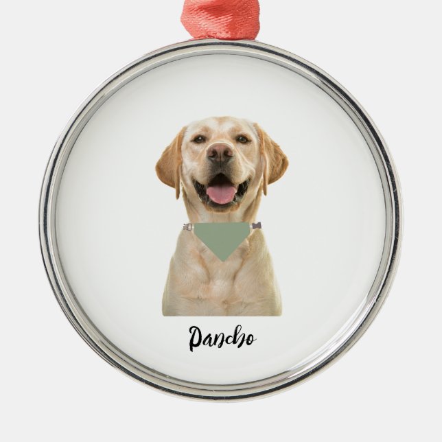 ORNEMENT PERSONNALISÉ POUR ANIMAUX DE COMPAGNIE (Devant)