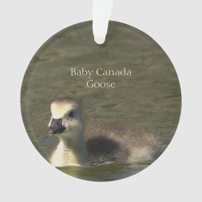 Ornement photo de bébé Canada oie (devant)