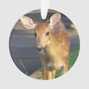 Ornement photo de cerf