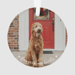 Ornement photo de l'Empreinte de patte commémorati