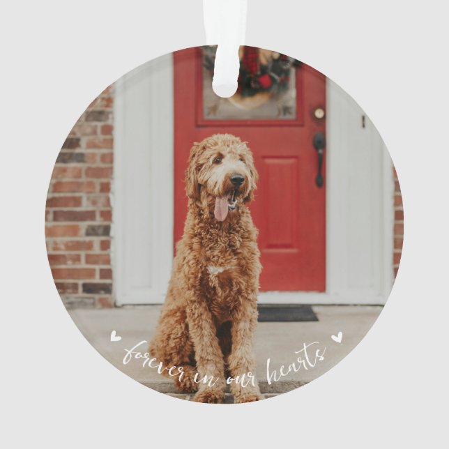 Ornement photo de l'Empreinte de patte commémorati (dos)