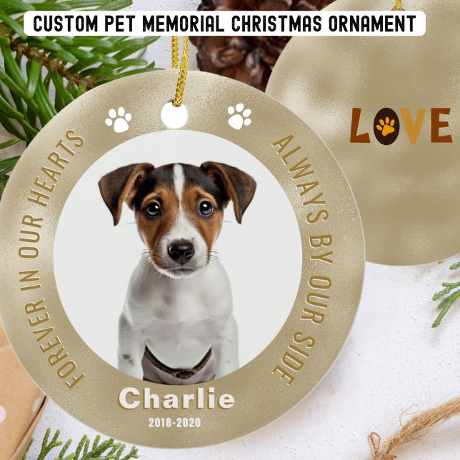 Ornement photo de Noël pour animal de compagnie Go (Créateur téléchargé)