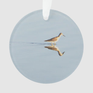 Ornement photo de réflexion des oiseaux marins