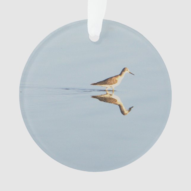 Ornement photo de réflexion des oiseaux marins (devant)