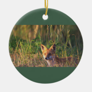 Ornement photo Fox