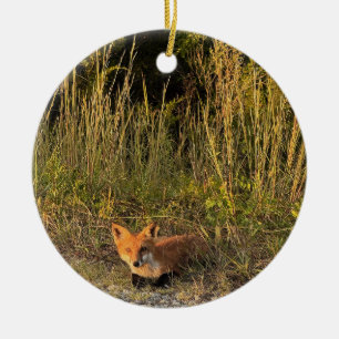 Ornement photo Fox