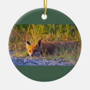 Ornement photo Fox