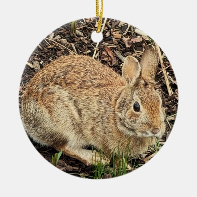 Ornement photo lapin (Devant)
