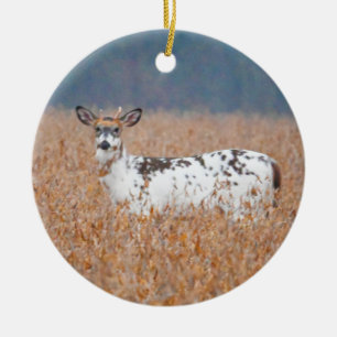 Ornement photo Piebald Deer