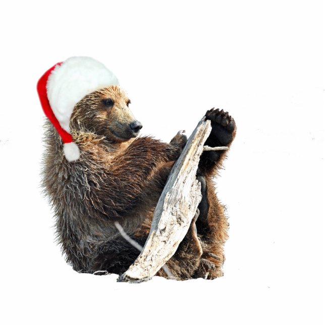 Ornement Photo Sculpture 2"" ornement de Noël x3 avec l'petit animal d'ours (Devant)