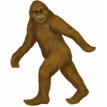 Ornement Photo Sculpture Bigfoot sur l'ornement de mouvement<br><div class="desc">Vous me regardant ? Ce Bigfoot peut également être transformé en sculpture en aimant,  en goupille,  en porte - clé et en photo.</div>
