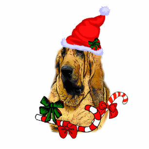 Ornement Photo Sculpture Bloodhound Cadeaux de Noël