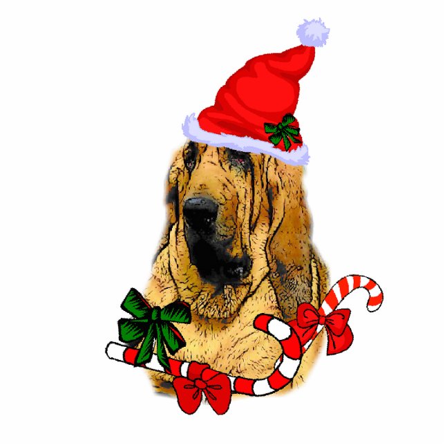 Ornement Photo Sculpture Bloodhound Cadeaux de Noël (Devant)