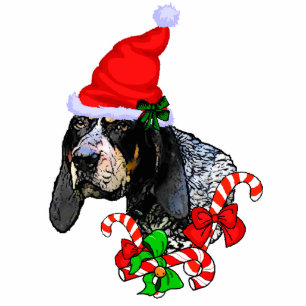 Ornement Photo Sculpture Bluetick Coonhound cadeaux de Noël