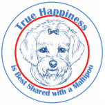 Ornement Photo Sculpture Bonheur vrai avec un Maltipoo<br><div class="desc">Ce ne devrait pas être une surprise si certains de vos souvenirs plus heureux incluent le chien de famille ! Cet art original de Maltipoo de caractéristiques de conception aux nuances du bleu entourées par les mots "bonheur vrai mieux est partagé avec un Maltipoo". Une conception parfaite disponible sur des...</div>