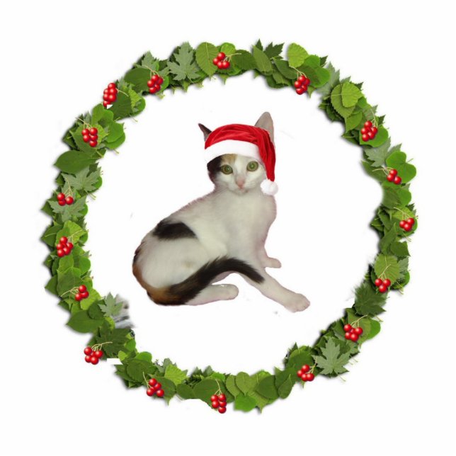 Ornement Photo Sculpture Cat de Calico Wreath (Devant)