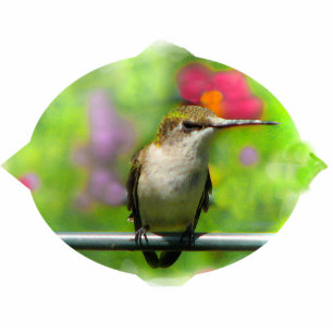 Ornement Photo Sculpture Colibri Noël pendre