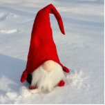Ornement Photo Sculpture Gnome scandinave de Noël<br><div class="desc">autrement connu comme Tomte Nissa</div>