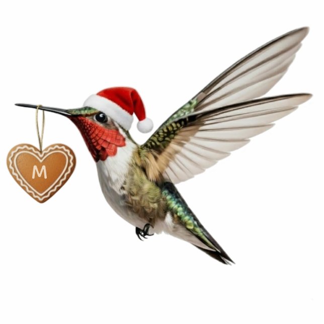 Ornement Photo Sculpture Hummingbird Custom Monogram Christmas Ornament (Devant)