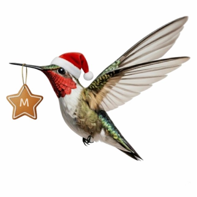 Ornement Photo Sculpture Hummingbird Customized Monogram Christmas Ornament (Devant)