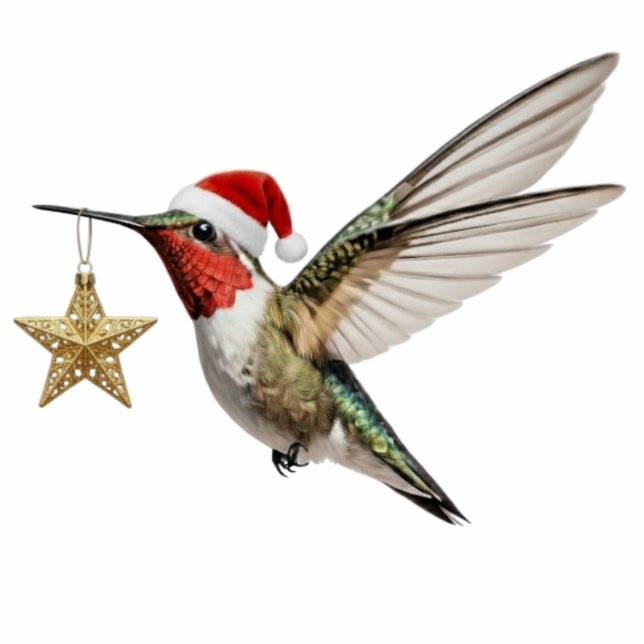 Ornement Photo Sculpture Hummingbird & Gold Star Bird Christmas Ornament (Devant)