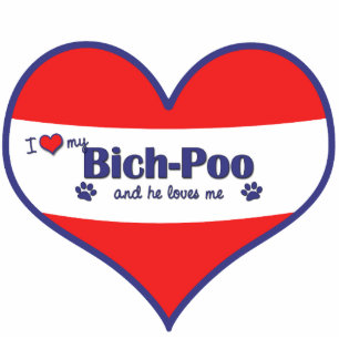 Ornement Photo Sculpture J'aime mon Bich-Poo (le chien masculin)