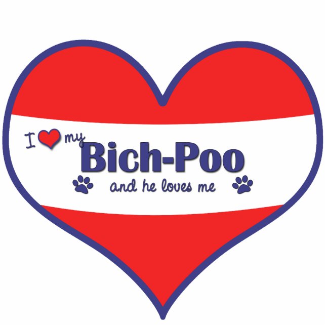 Ornement Photo Sculpture J'aime mon Bich-Poo (le chien masculin) (Devant)