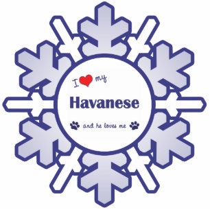 Ornement Photo Sculpture J'aime mon Havanese (le chien masculin)