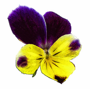 Ornement Photo Sculpture Johnny Jump Up Hanging Noël Acrylique