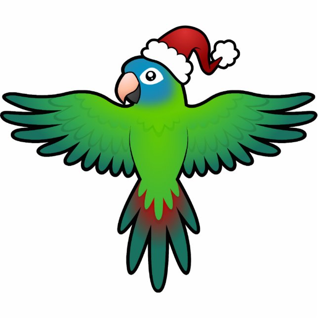 Ornement Photo Sculpture Noël Conure/Lorikeet/perroquet (Devant)