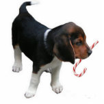 Ornement Photo Sculpture Ornement beagle de chiot<br><div class="desc">This Beagle Puppy Ornament makes a great little Christma Venin ou Stocking Stuffer.</div>