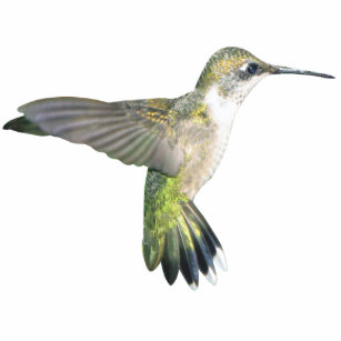 Ornement Photo Sculpture Ornement de Chirstmas de colibri