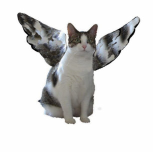 Ornement Photo Sculpture Ornement de Kitty d'ange