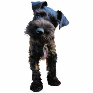 Ornement Photo Sculpture Ornement de Noël de Schnauzer miniature