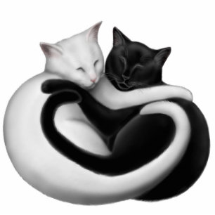 Ornement Photo Sculpture Ornement de vacances de chats d'amour