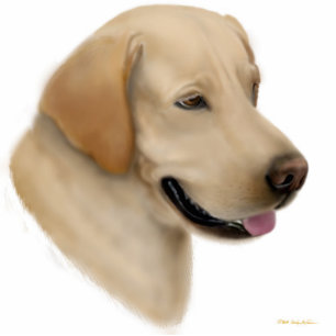 Ornement Photo Sculpture Ornement jaune de labrador retriever