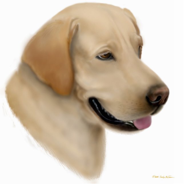 Ornement Photo Sculpture Ornement jaune de labrador retriever (Devant)