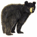 Ornement Photo Sculpture Ours noir<br><div class="desc">Ce joli ornement acrylique montre un ours noir debout</div>