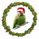 Ornement Photo Sculpture Parrot Père Noël<br><div class="desc">Cet ornement de Noël présente un perroquet à la tête de cerise dans un chapeau de Père Noël assis à l'intérieur d'une couronne de Noël</div>