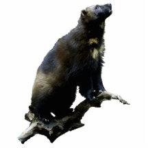 Sculpture photo de Wolverine